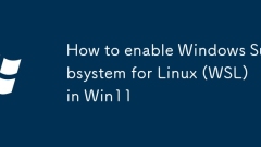 如何在Win11中啟用Windows子系統(tǒng)的Linux(WSL)