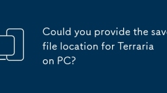 您能在PC上提供Terraria的保存文件位置嗎?