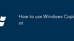 How to use Windows Copilot
