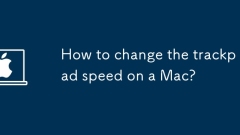 如何更改Mac上的触控板速度?