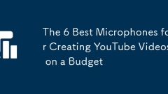 ???? YouTube ???? ??? 6 ?? ??? ???