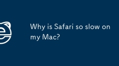 為什麼Safari對我的Mac如此慢?