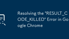在Google Chrome中解決' Result_code_killed”錯誤