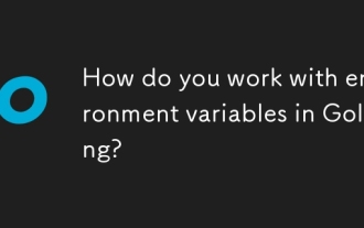 Bagaimana anda bekerja dengan pembolehubah persekitaran di Golang?