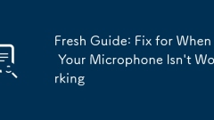Fresh Guide: Fix for When Your Microphone Isn't Working