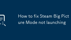 How to fix Steam Big Picture Mode not launching