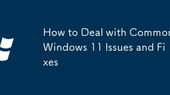 How to Deal with Common Windows 11 Issues and Fixes