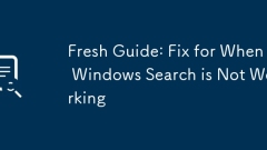 Fresh Guide: Fix for When Windows Search is Not Working
