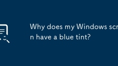 Why does my Windows screen have a blue tint?