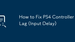 How to Fix PS4 Controller Lag (Input Delay)