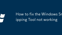 How to fix the Windows Snipping Tool not working