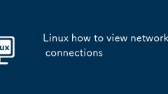 Linux how to view network connections
