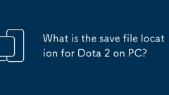 What is the save file location for Dota 2 on PC?
