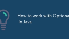How to work with Optional in Java