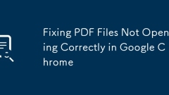Fixing PDF Files Not Opening Correctly in Google Chrome