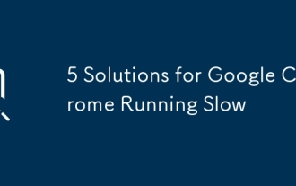 Google Chrome的5个解决方案运行缓慢