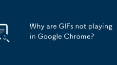 Why are GIFs not playing in Google Chrome?