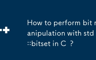 How to perform bit manipulation with std::bitset in C ?