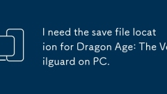 I need the save file location for Dragon Age: The Veilguard on PC.