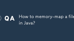 How to memory-map a file in Java?