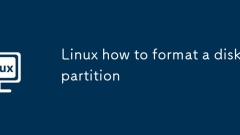 Linux how to format a disk partition