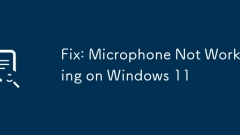 Fix: Microphone Not Working on Windows 11