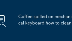 Coffee spilled on mechanical keyboard how to clean