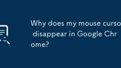 Why does my mouse cursor disappear in Google Chrome?
