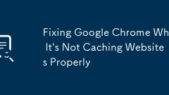 Fixing Google Chrome When It's Not Caching Websites Properly