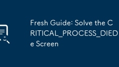 Fresh Guide: Solve the CRITICAL_PROCESS_DIED Blue Screen