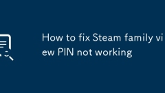How to fix Steam family view PIN not working
