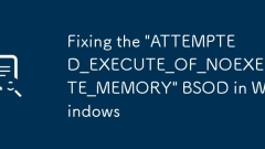 Fixing the 'ATTEMPTED_EXECUTE_OF_NOEXECUTE_MEMORY' BSOD in Windows