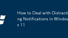 How to Deal with Distracting Notifications in Windows 11