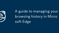 在Microsoft Edge中管理您的浏览历史记录的指南