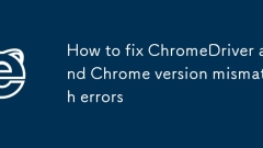 如何修复Chromedriver和Chrome版本不匹配错误