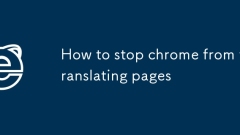 如何阻止Chrome翻译页面