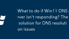 What to do if Win11 DNS server isn't responding? The solution for DNS resolution issues