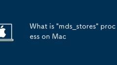 Macの「MDS_STORES」プロセスとは何ですか
