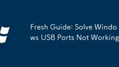 Fresh Guide: Solve Windows USB Ports Not Working