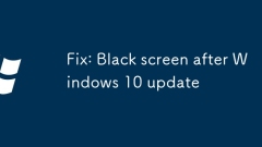 Fix: Black screen after Windows 10 update