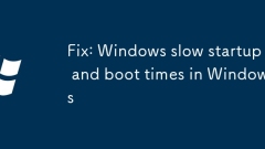 Fix: Windows slow startup and boot times in Windows