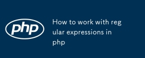Comment travailler avec des expressions régulières en php
