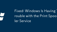 Fixed: Windows Is Having Trouble with the Print Spooler Service