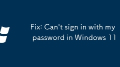 Fix: Can't sign in with my password in Windows 11