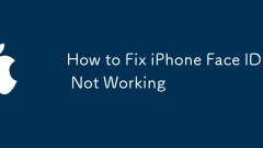 How to Fix iPhone Face ID Not Working