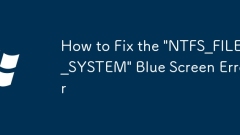 How to Fix the 'NTFS_FILE_SYSTEM' Blue Screen Error