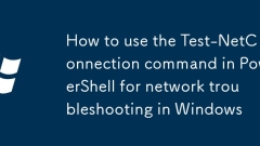 How to use the Test-NetConnection command in PowerShell for network troubleshooting in Windows