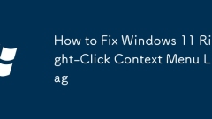 How to Fix Windows 11 Right-Click Context Menu Lag