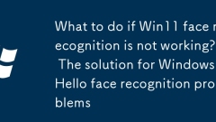 What to do if Win11 face recognition is not working? The solution for Windows Hello face recognition problems