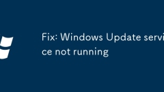 Fix: Windows Update service not running